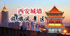 骚逼叫骚一点视频中国陕西-西安城墙旅游风景区
