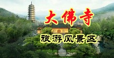 艹流水骚B中国浙江-新昌大佛寺旅游风景区
